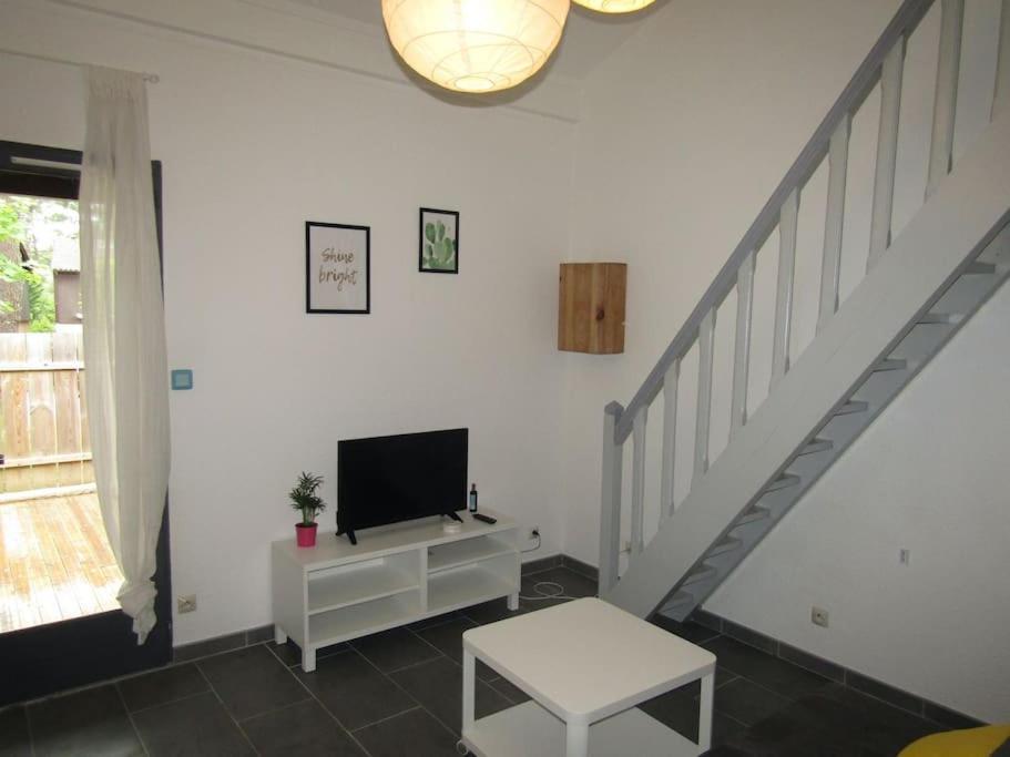 Apartment A Louer A Ocean
